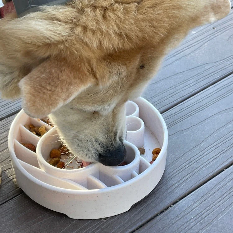 Java eBowl Deep Slow Feeder Dog Bowl for Enrichment | USA Made - Image 7