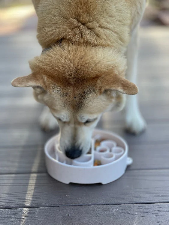 Java eBowl Deep Slow Feeder Dog Bowl for Enrichment | USA Made - Image 8