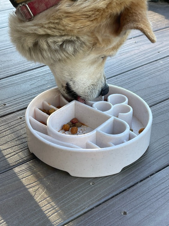 Java eBowl Deep Slow Feeder Dog Bowl for Enrichment | USA Made - Image 9