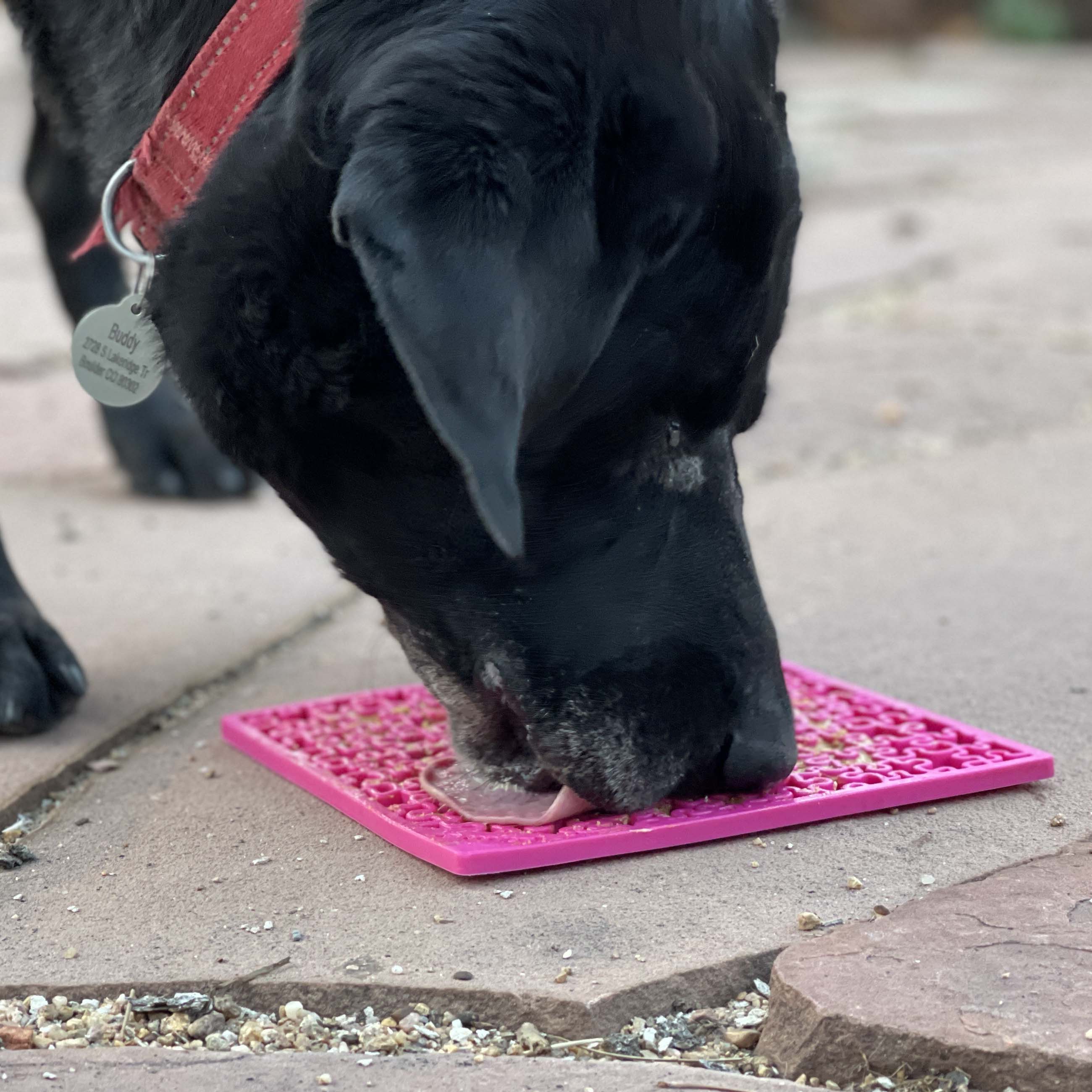 Jigsaw Puzzle eMat - Enrichment Lick Mat for Dogs and Cats | eMat Enrichment Toy for Anxiety Relief | USA Made - Image 9