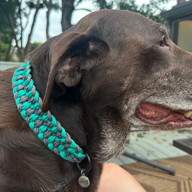 Josephine Braid Handmade Dog Collar - Customize Your Colors - Image 2