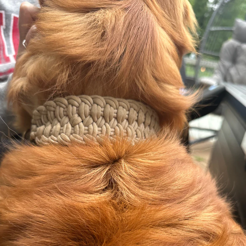 Josephine Braid Handmade Dog Collar - Customize Your Colors - Image 3