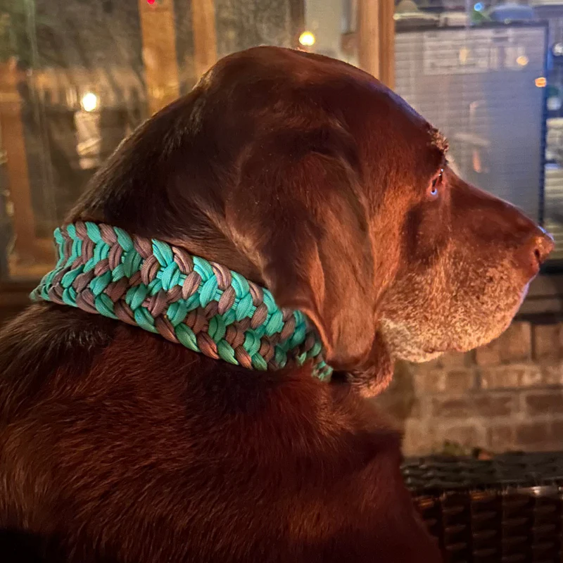 Josephine Braid Handmade Dog Collar - Customize Your Colors - Image 9
