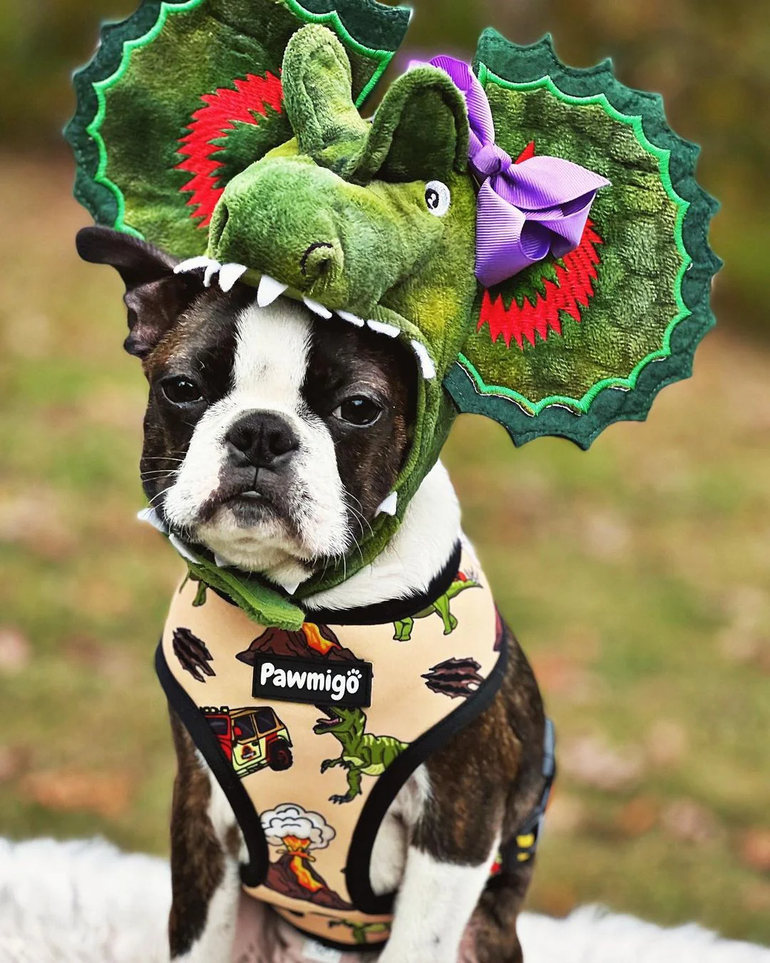 Jurassic Bark Reversible Harness - Image 2