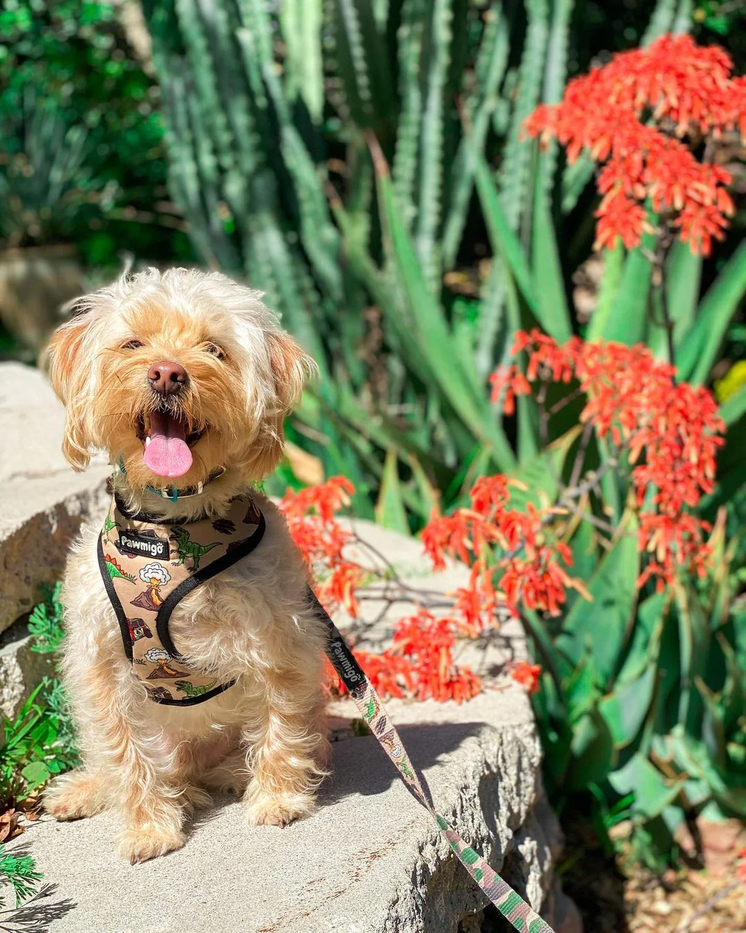 Jurassic Bark Reversible Harness - Image 6