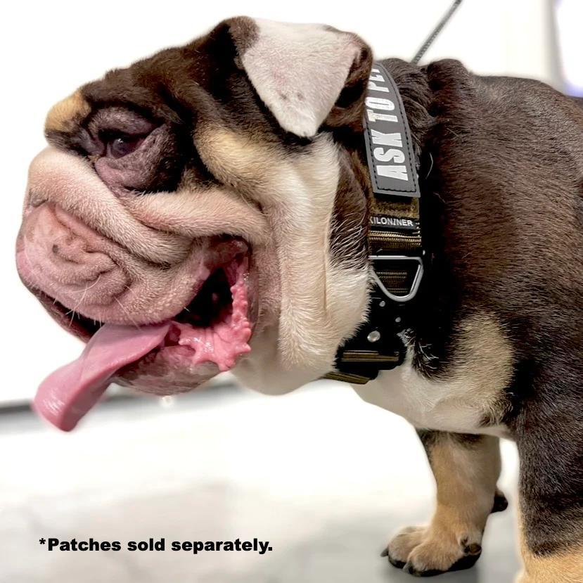 K9R - BCH Big Dog Collar Heavy Duty - Image 3