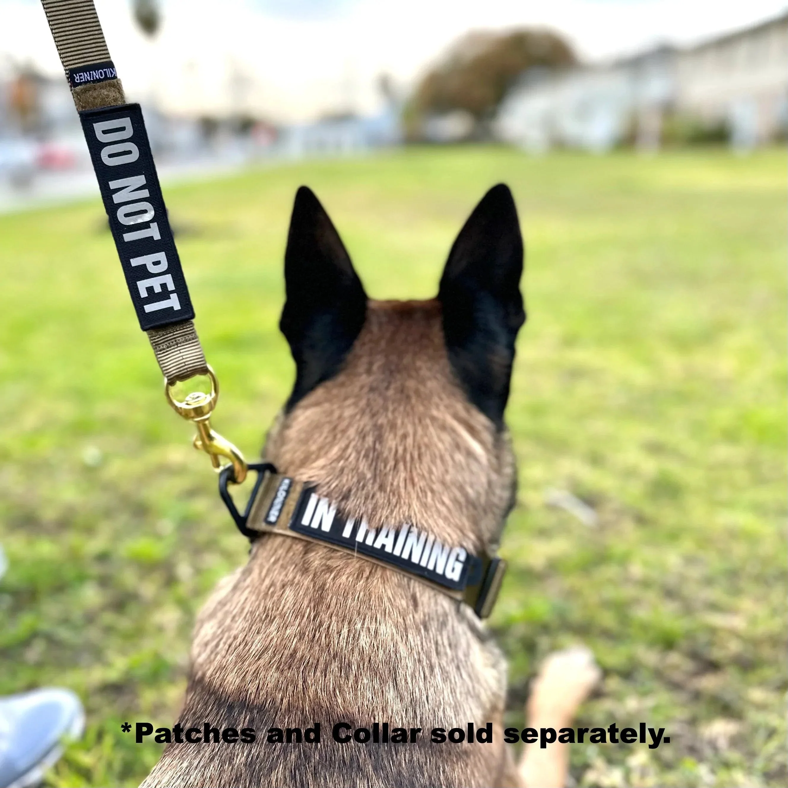 K9R - BLH Big Dog Leash Heavy Duty - Image 2