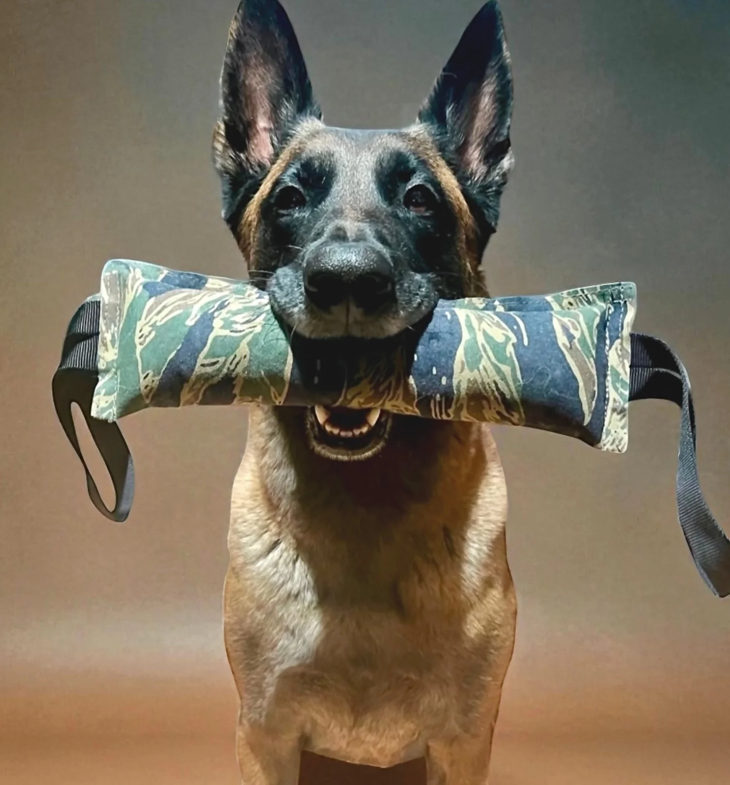 K9R - Kiloniner TUG-N-TRAIN Tug Toy - Image 3