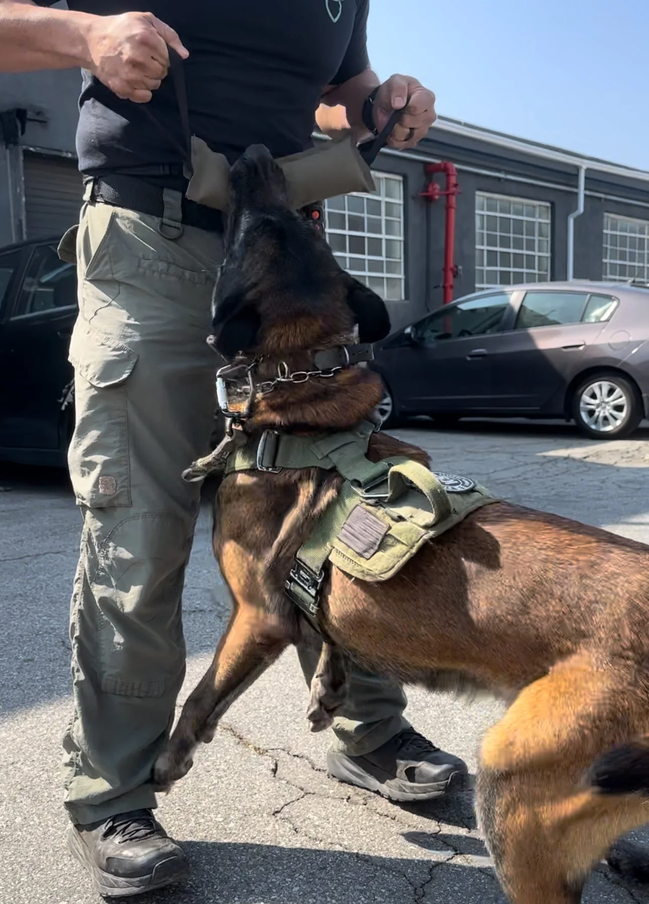 K9R - Kiloniner TUG-N-TRAIN Tug Toy - Image 6