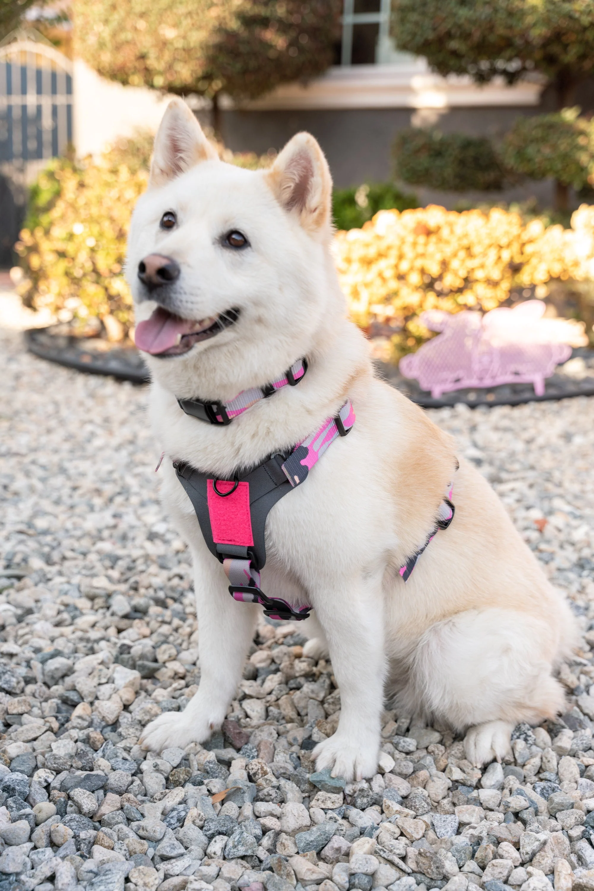 K9R - M1 LightSpeed Harness - Image 3