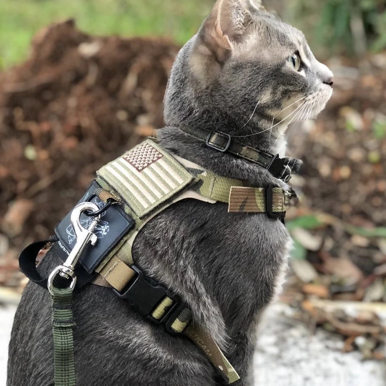K9R - M1 Lightspeed Harness for Cats - Image 3