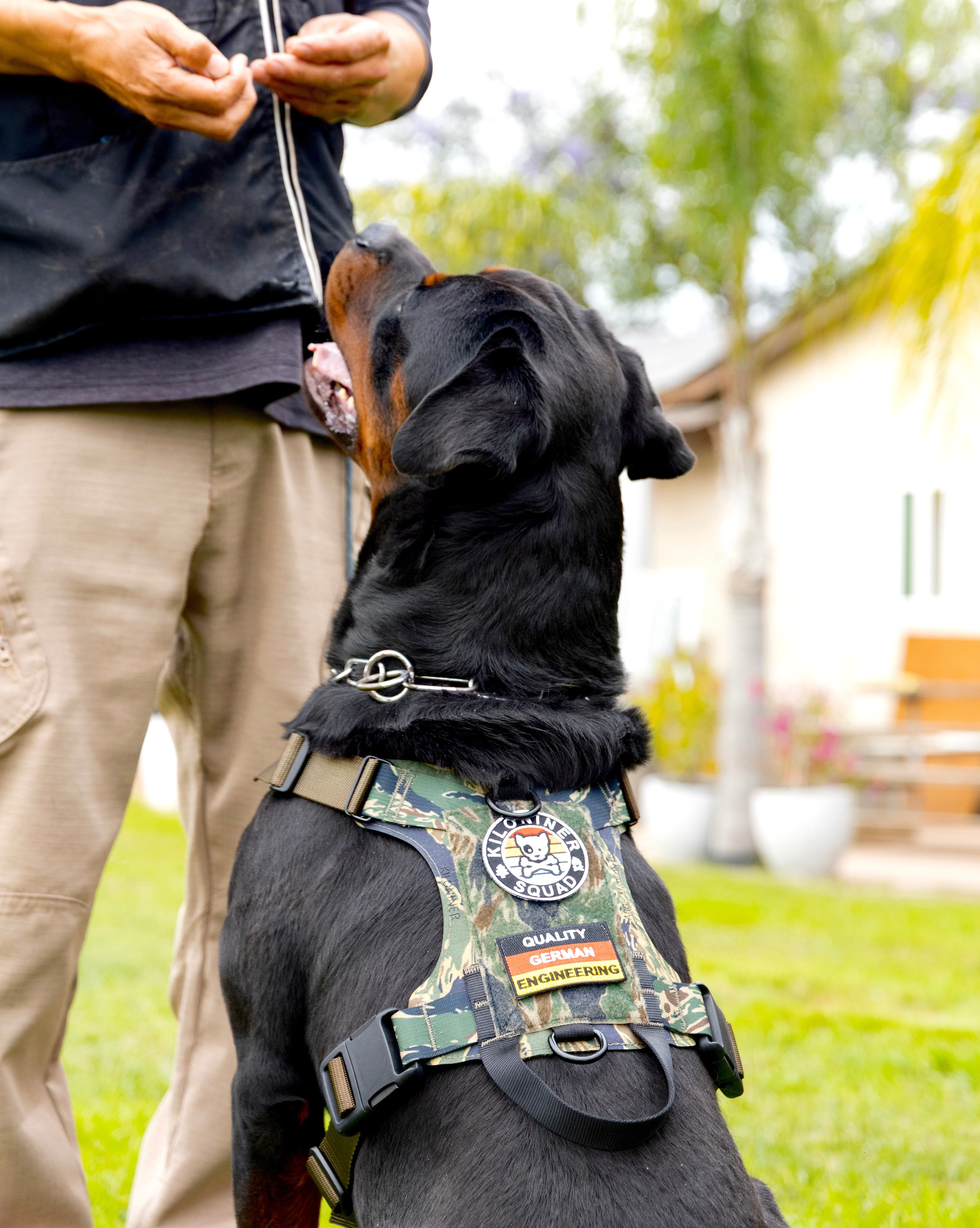 K9R - M1 LightSpeed Harness Large - Image 2