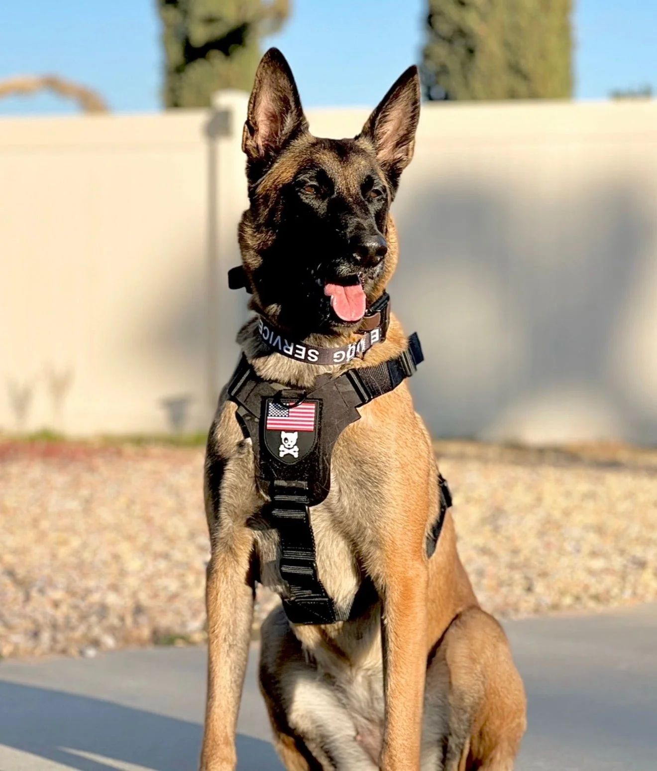 K9R - M1 LightSpeed Harness Large - Image 4