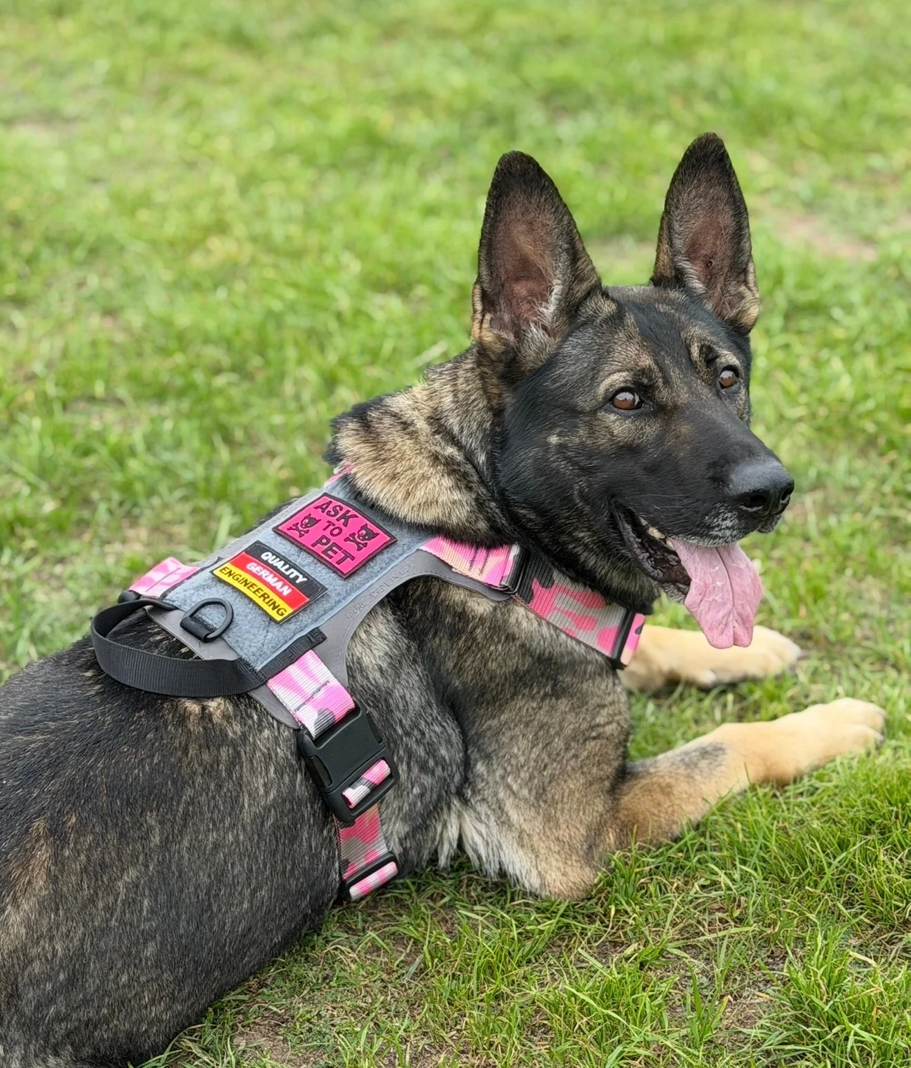 K9R - M1 LightSpeed Harness Large - Image 5