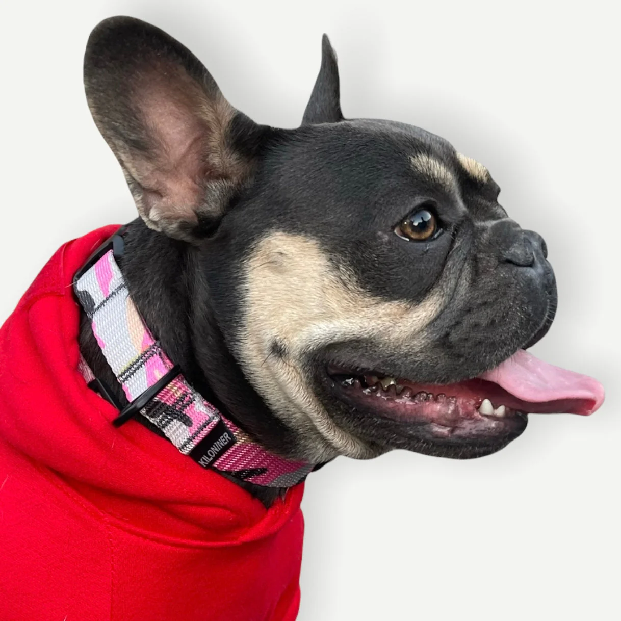 K9R - M2C Lightspeed Collar - Image 3