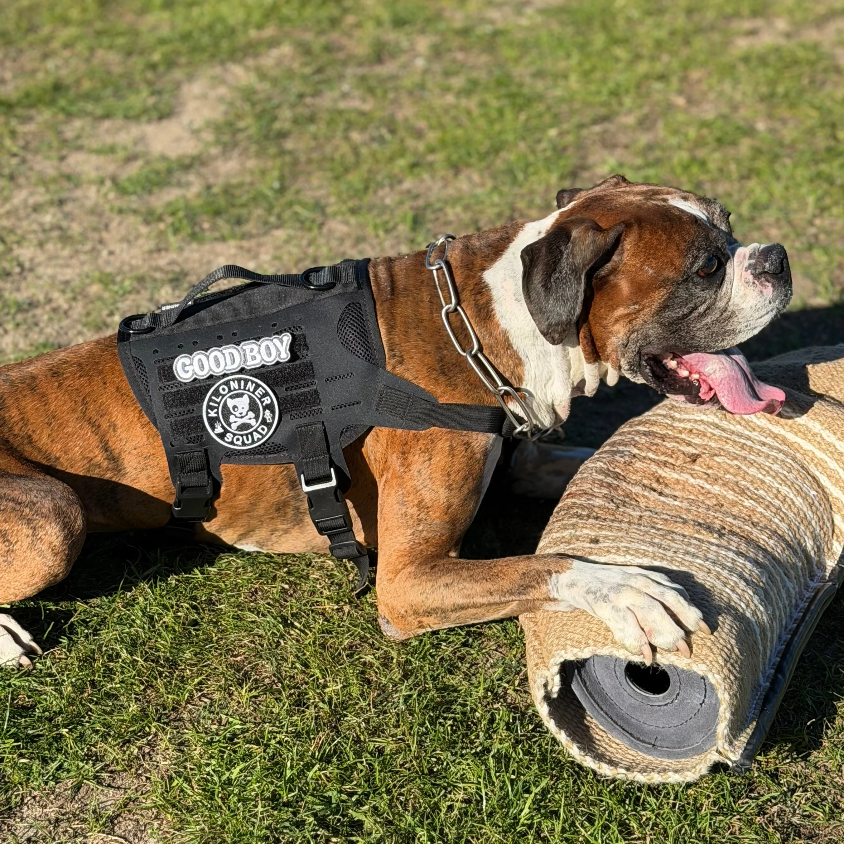 K9R - M4 Tactical MOLLE Vest - Image 2