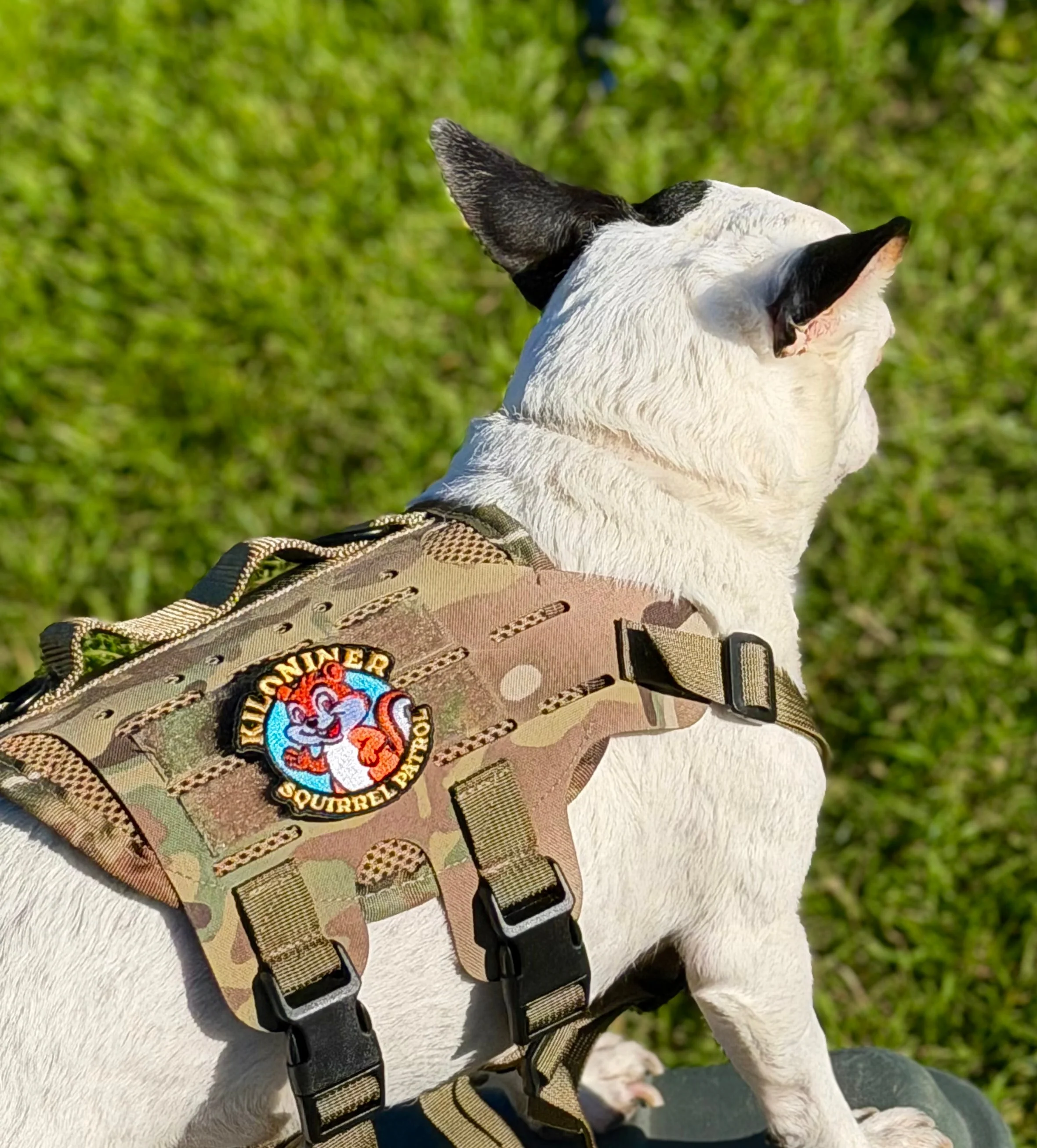 K9R - M4 Tactical MOLLE Vest - Image 3