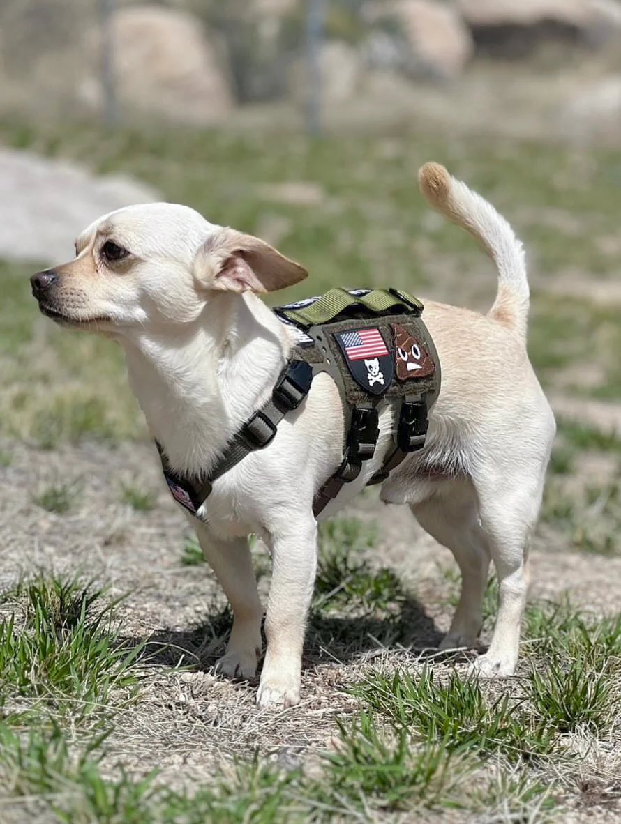 K9R - M5 MOLLE Light Vest - Image 2