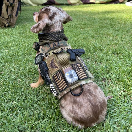 K9R - M5 MOLLE Light Vest - Image 3