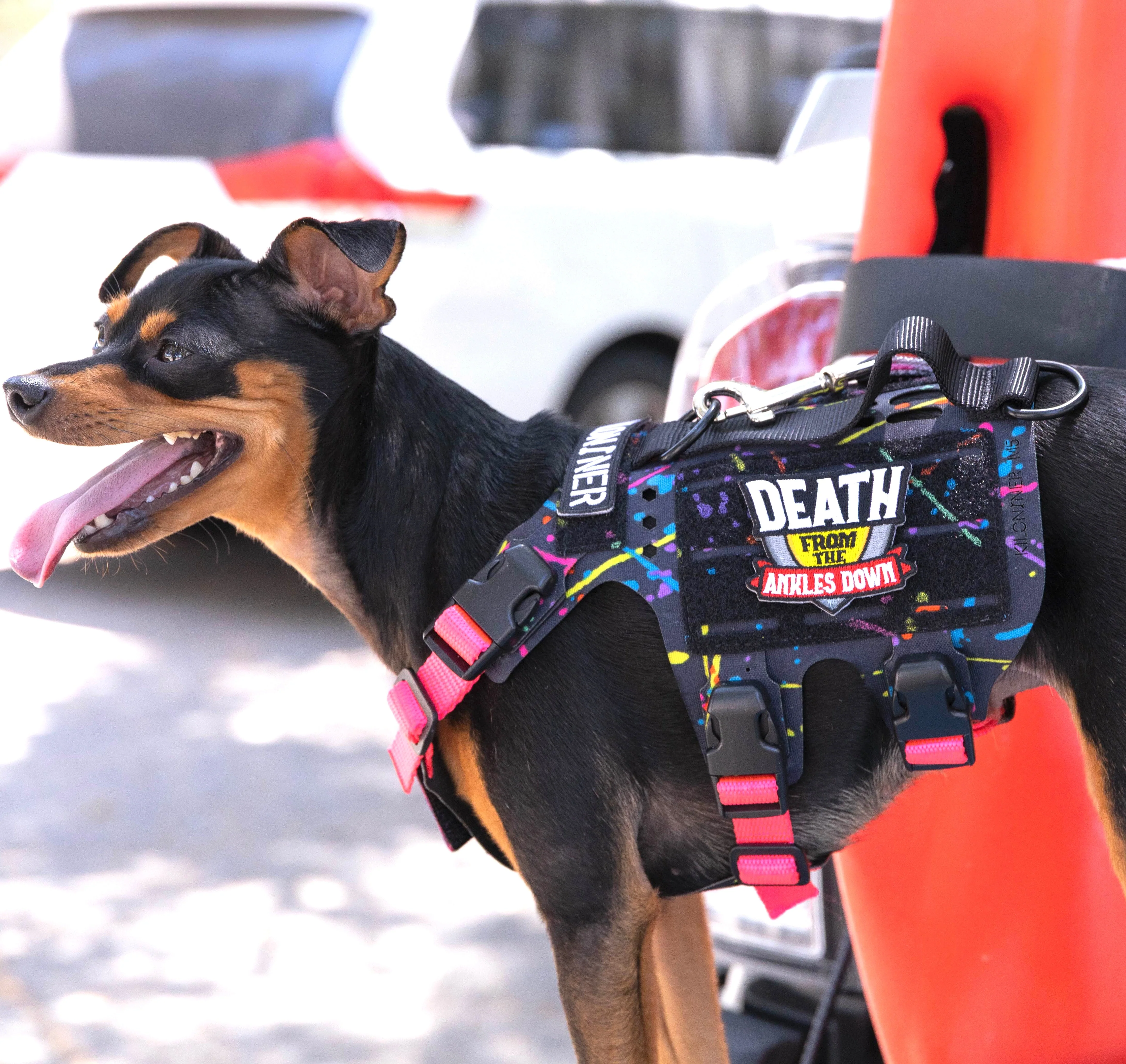 K9R - M5 MOLLE Light Vest - Image 4