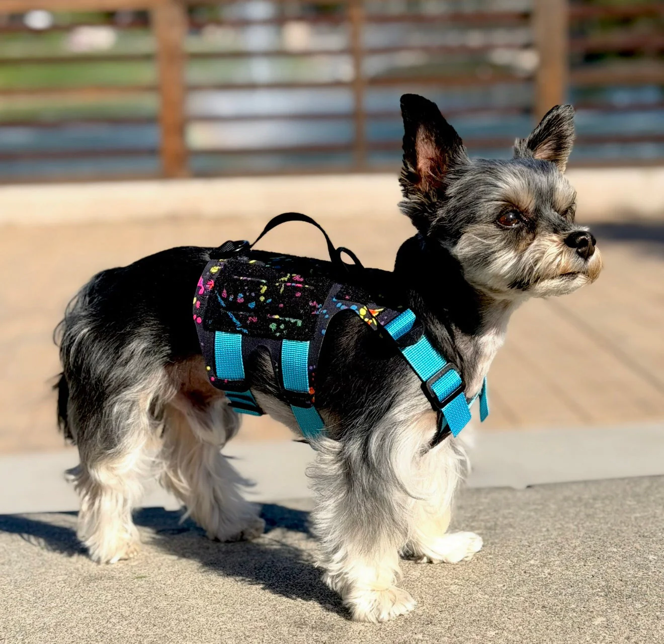 K9R - M5 MOLLE Light Vest - Image 7