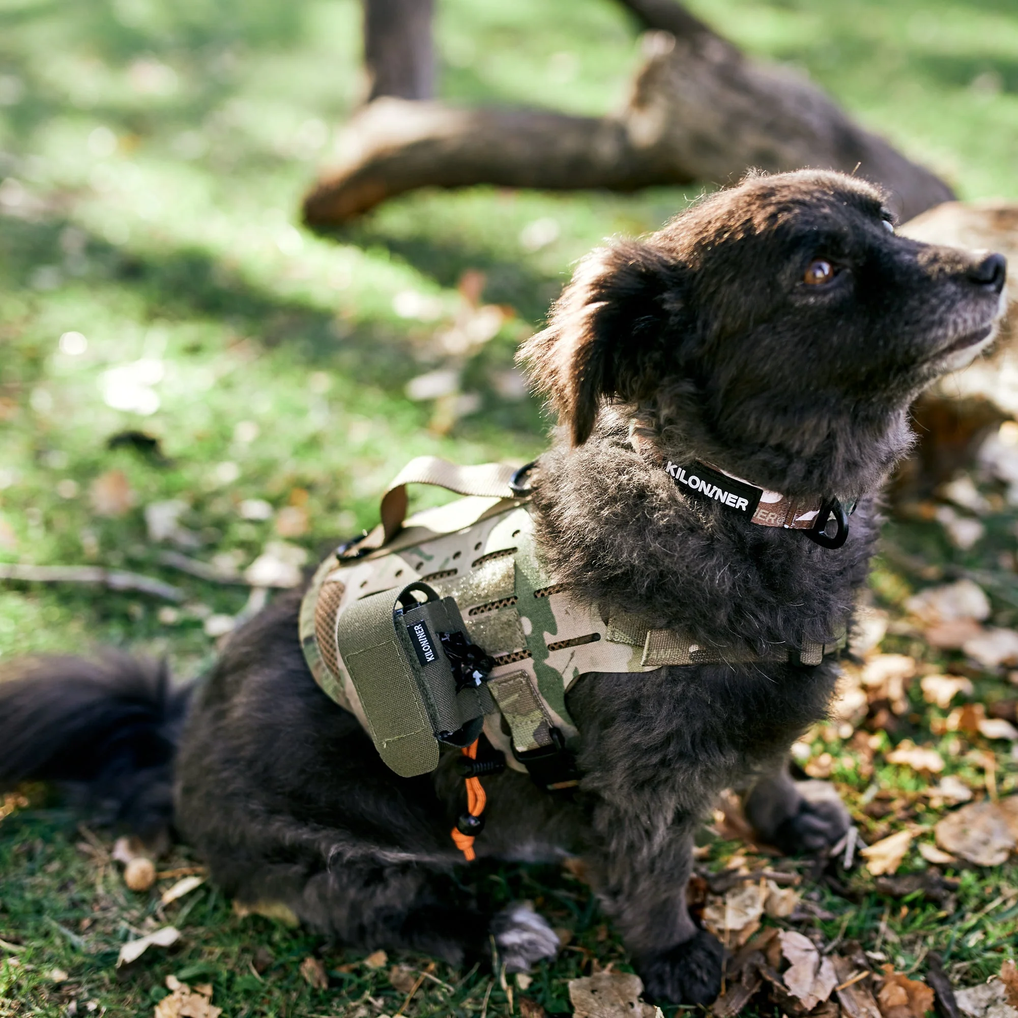 K9R - MP4 Poop Bag Dispenser Pouch - Image 5