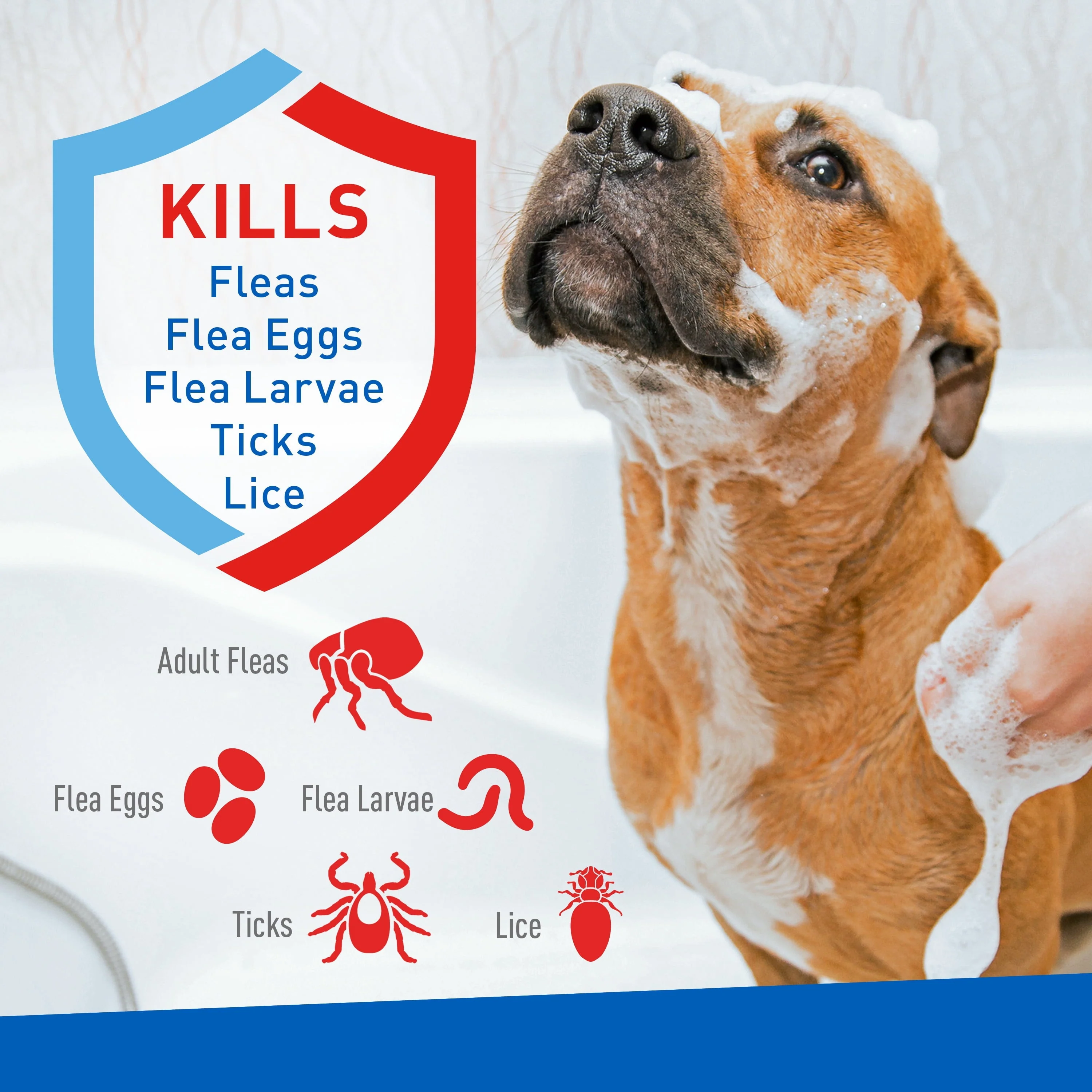 Keep Your Dog Happy and Flea-Free with ADAMS Plus Flea & Tick Foaming Shampoo & Wash - 2 Pack for Sensitive Skin! - Image 3