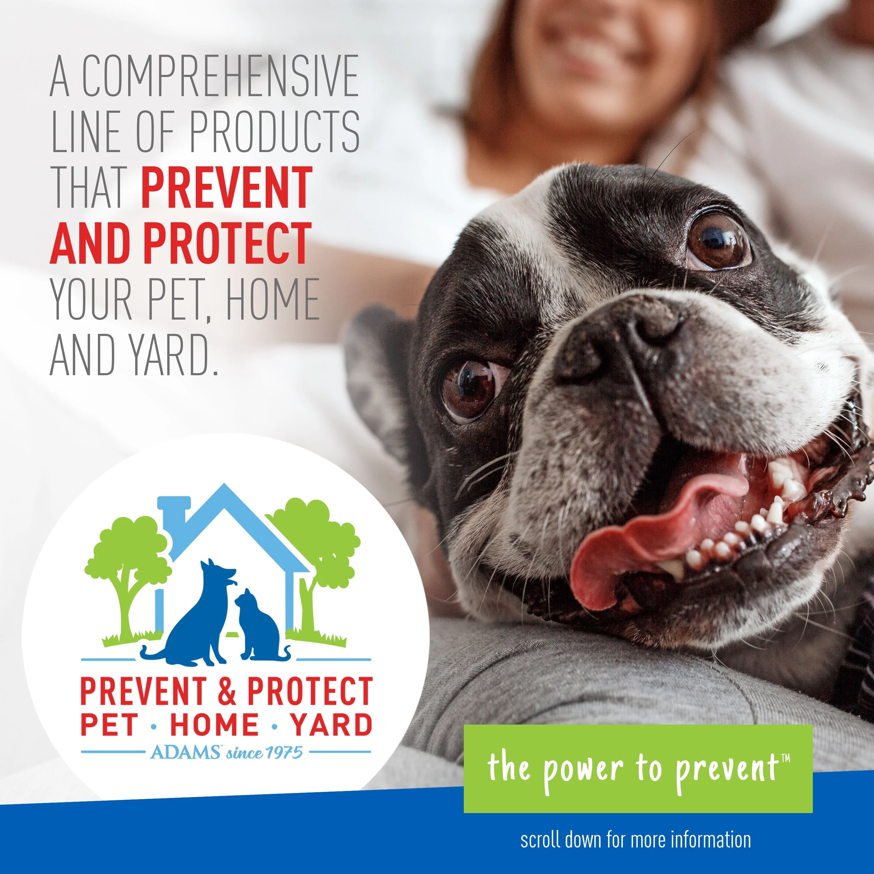 Keep Your Dog Happy and Flea-Free with ADAMS Plus Flea & Tick Foaming Shampoo & Wash - 2 Pack for Sensitive Skin! - Image 7