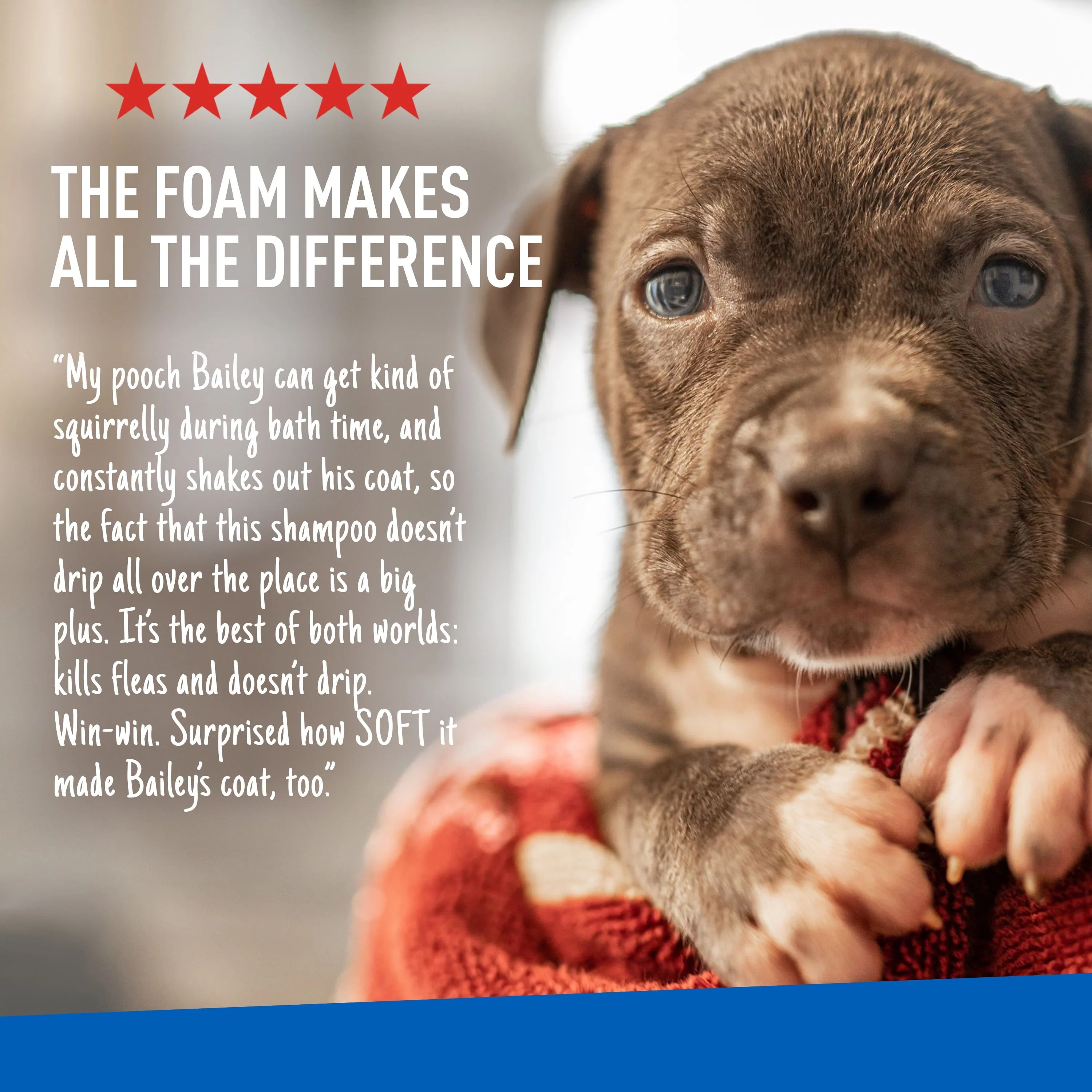 Keep Your Dog Happy and Flea-Free with ADAMS Plus Flea & Tick Foaming Shampoo & Wash - 2 Pack for Sensitive Skin! - Image 8
