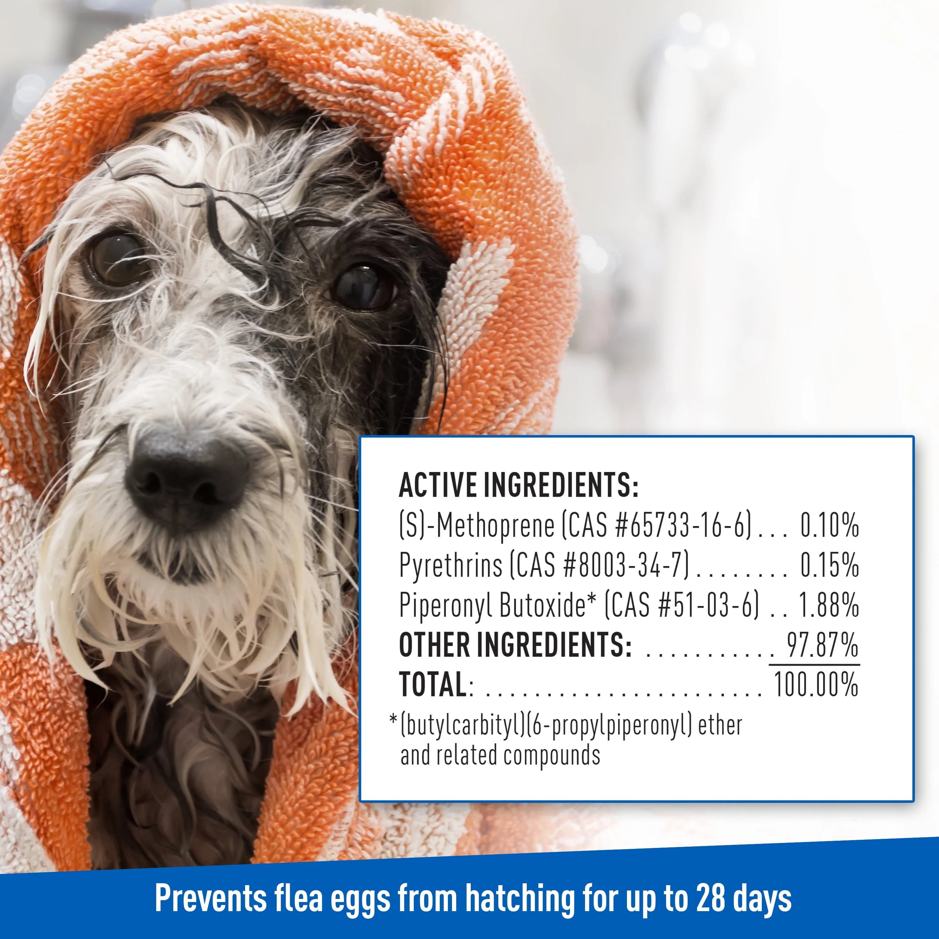 Keep Your Dog Happy and Flea-Free with ADAMS Plus Flea & Tick Foaming Shampoo & Wash - 2 Pack for Sensitive Skin! - Image 9