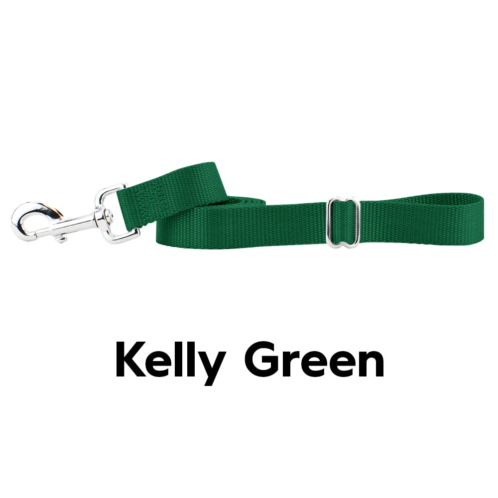 Kelly Green Nylon Dog Leash - Image 2