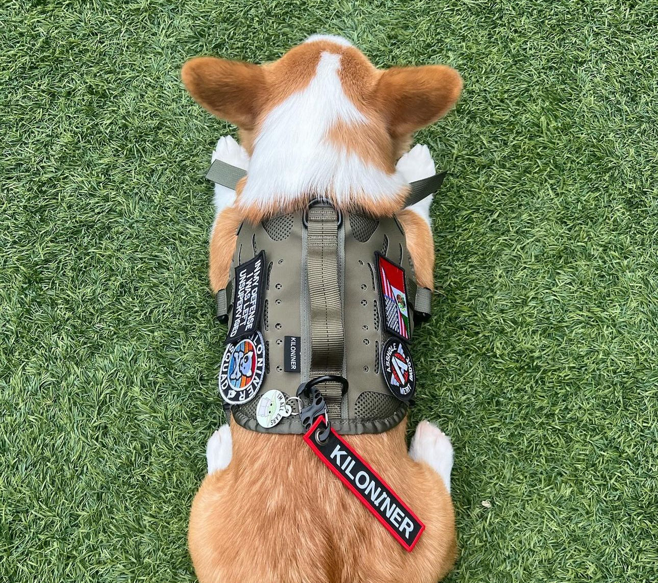 Key Chain Tag - Remove Before Poop - Image 6