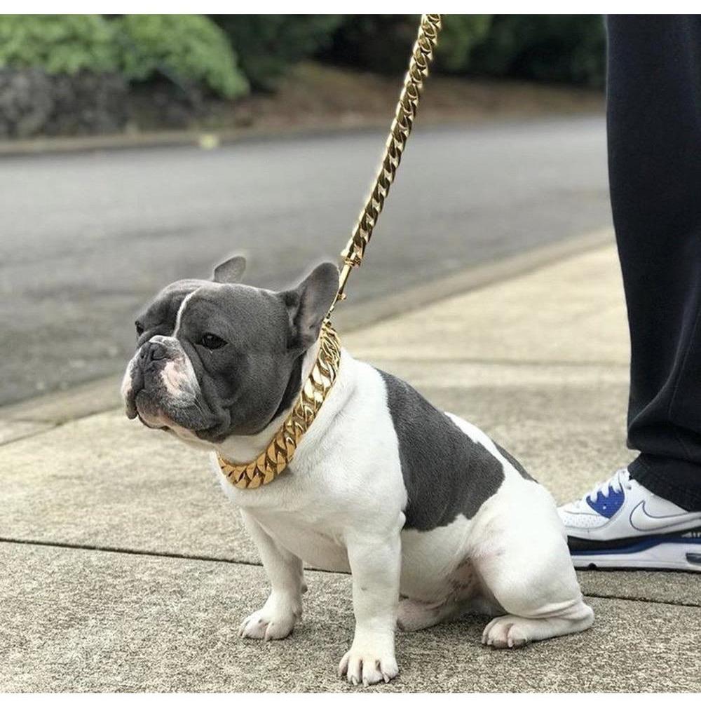 Kilo Cuban Link | Leash - Image 6