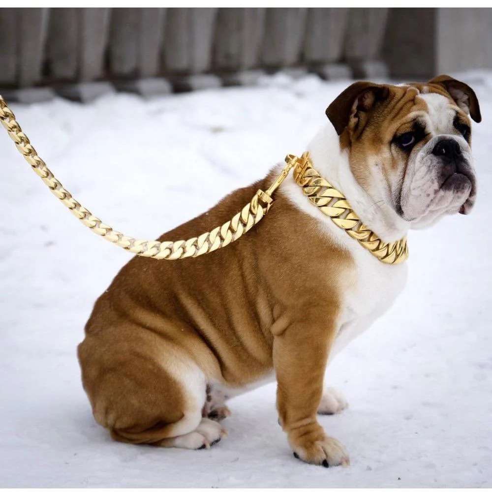 Kilo Cuban Link | Leash - Image 7