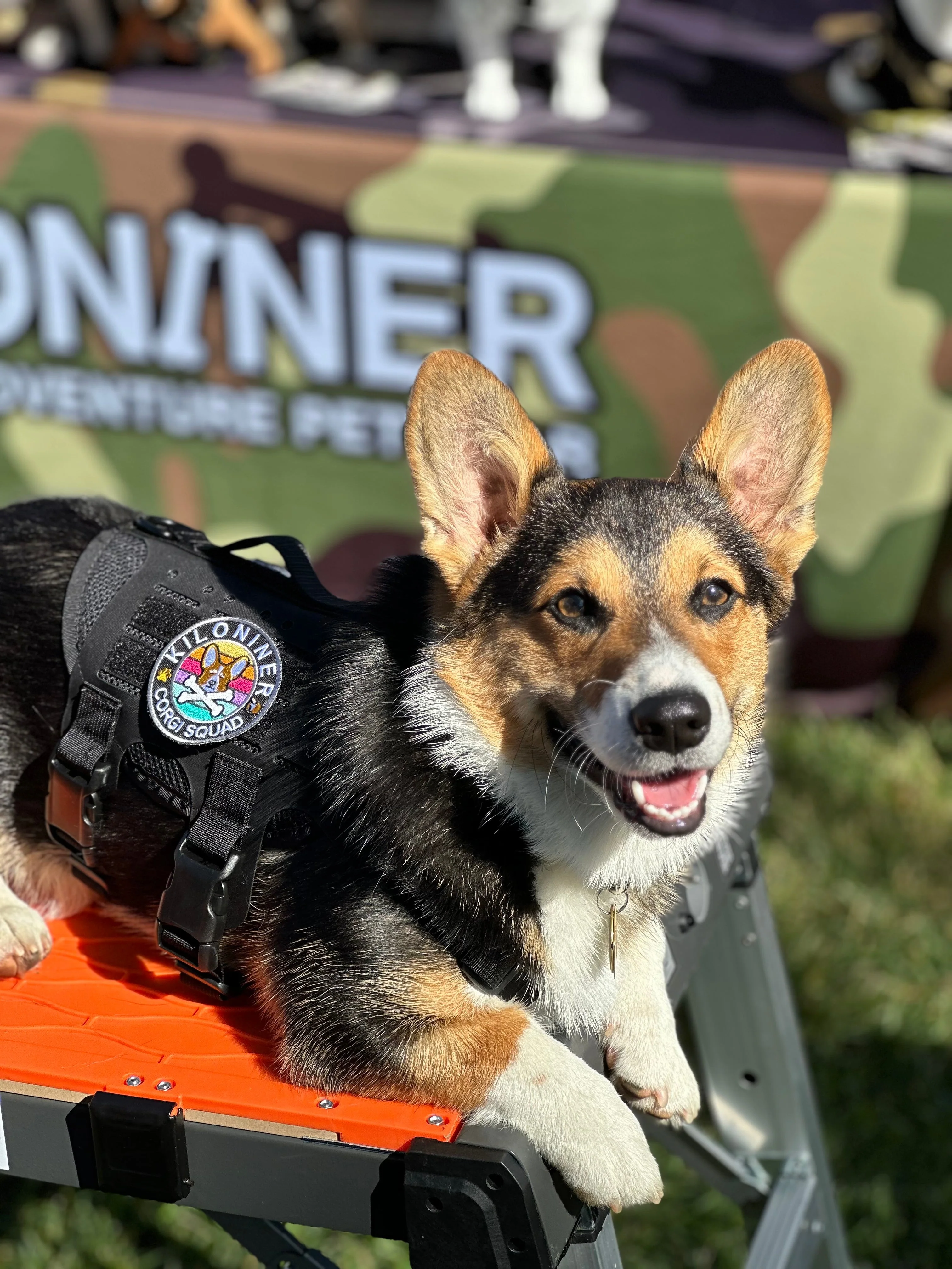 Kiloniner Corgi Squad Morale Patch - Image 3