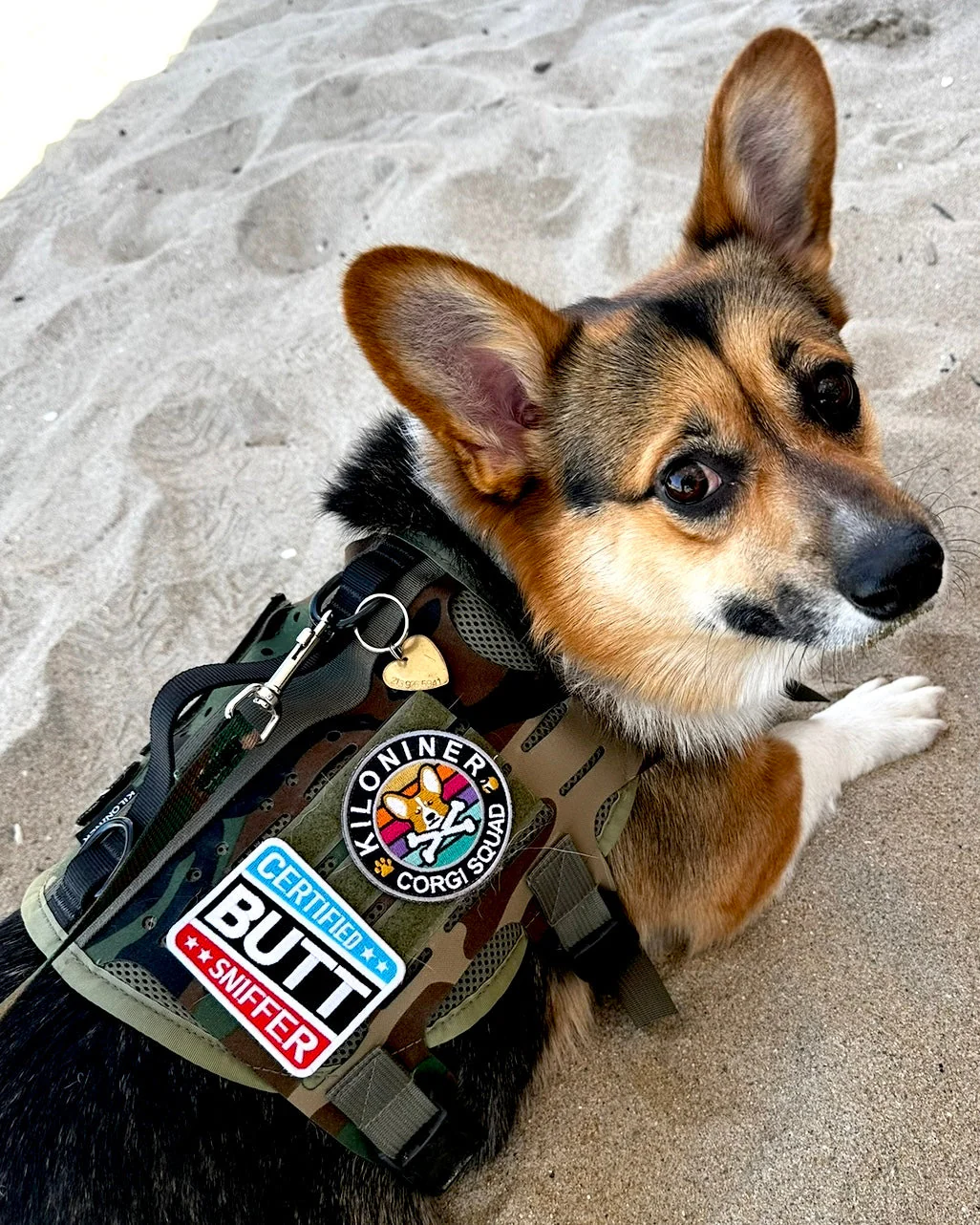 Kiloniner Corgi Squad Morale Patch - Image 4
