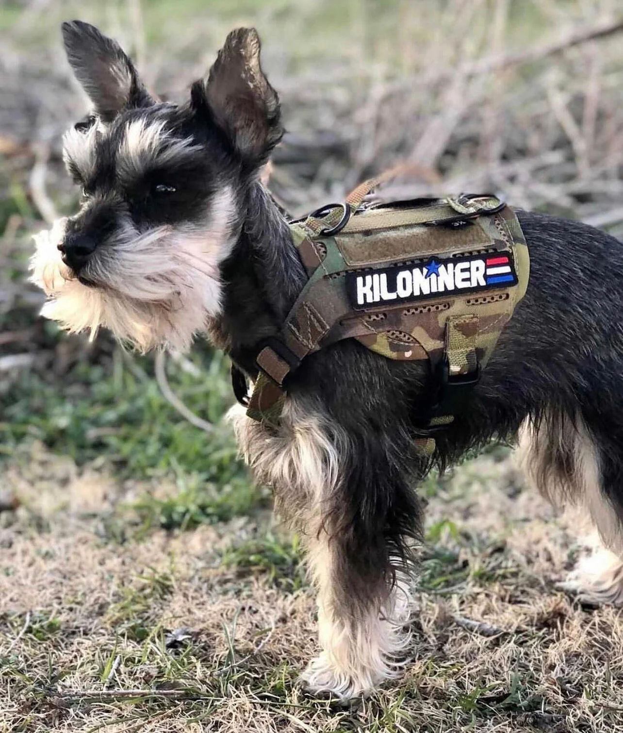 KILONINER STARS & STRIPES Morale Patch - Image 6