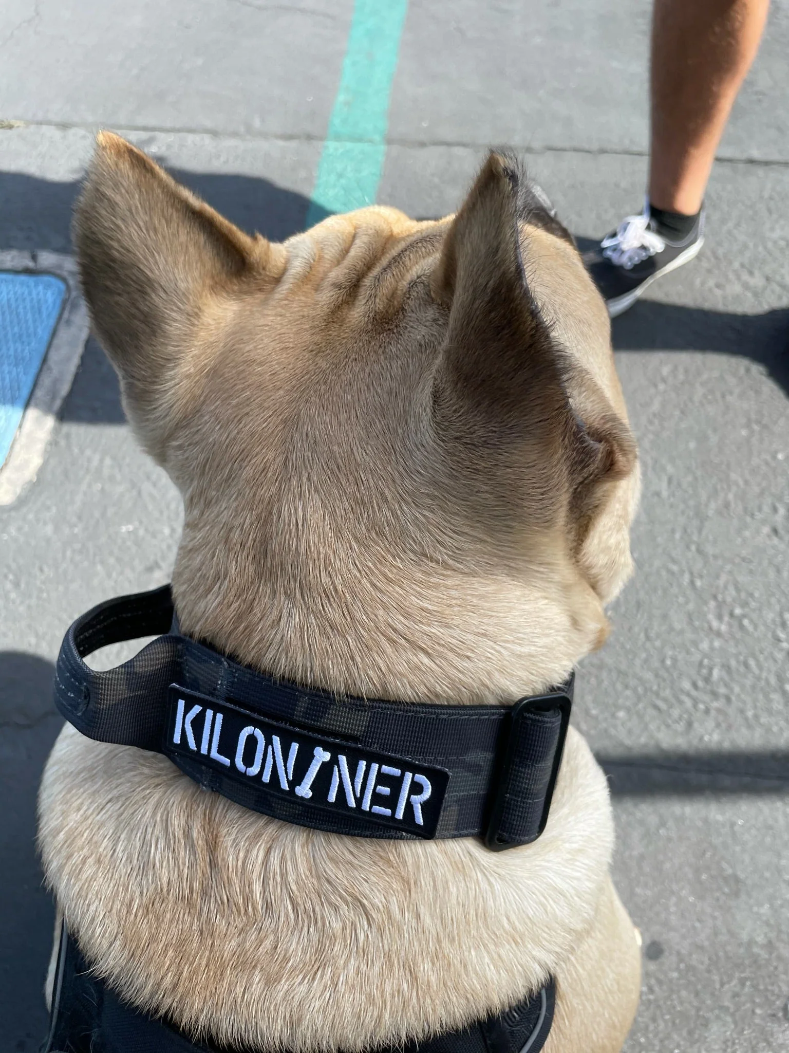 KILONINER STENCIL Morale Patch - Image 9