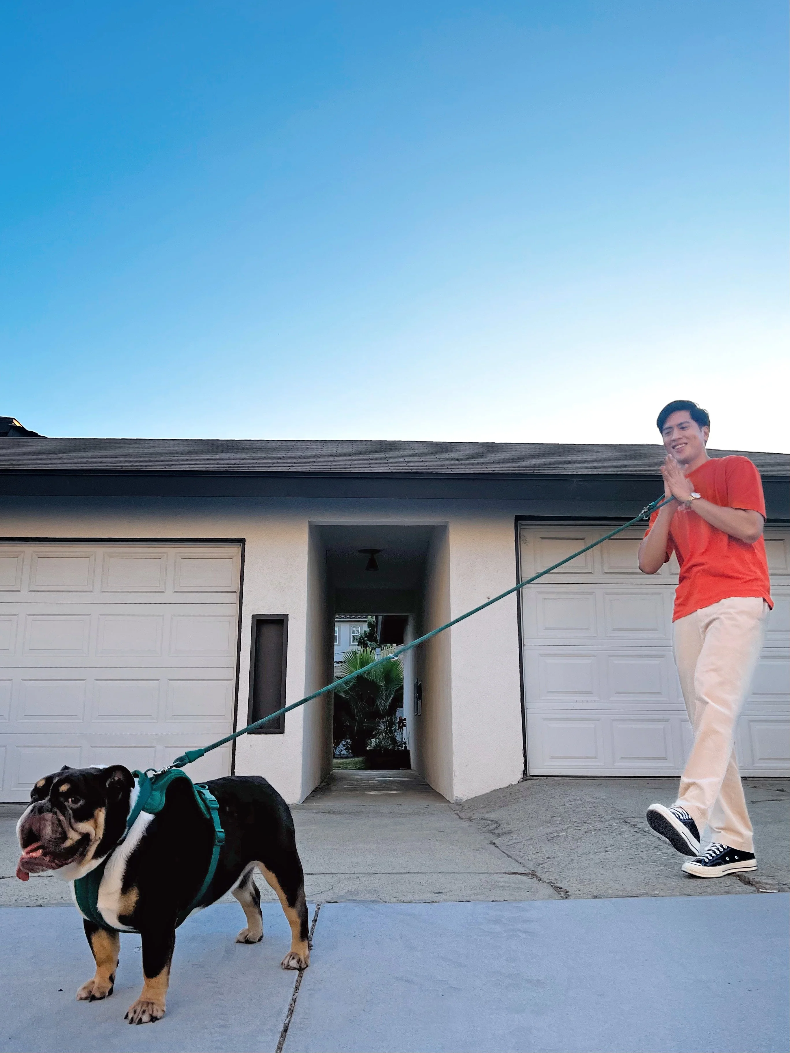 Kismet Dog Leash - Image 15