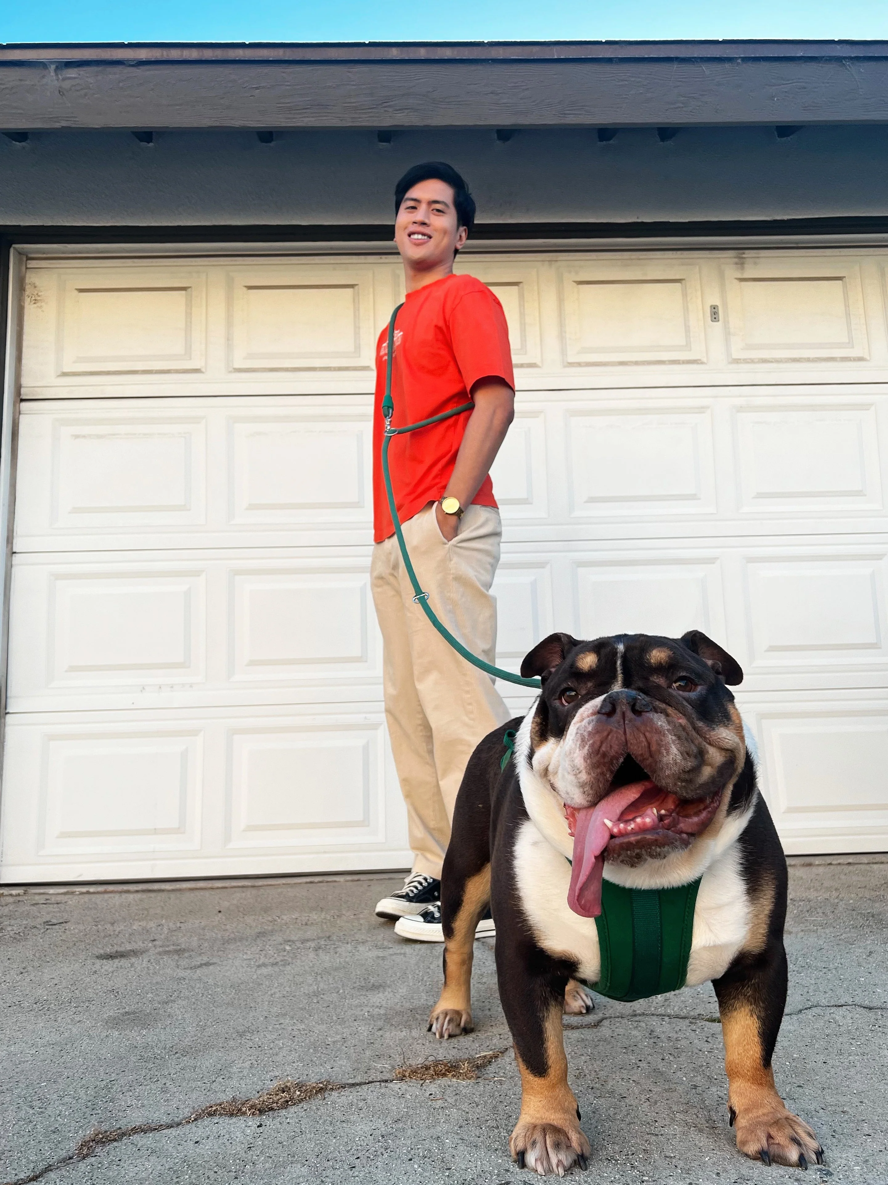 Kismet Dog Leash - Image 16