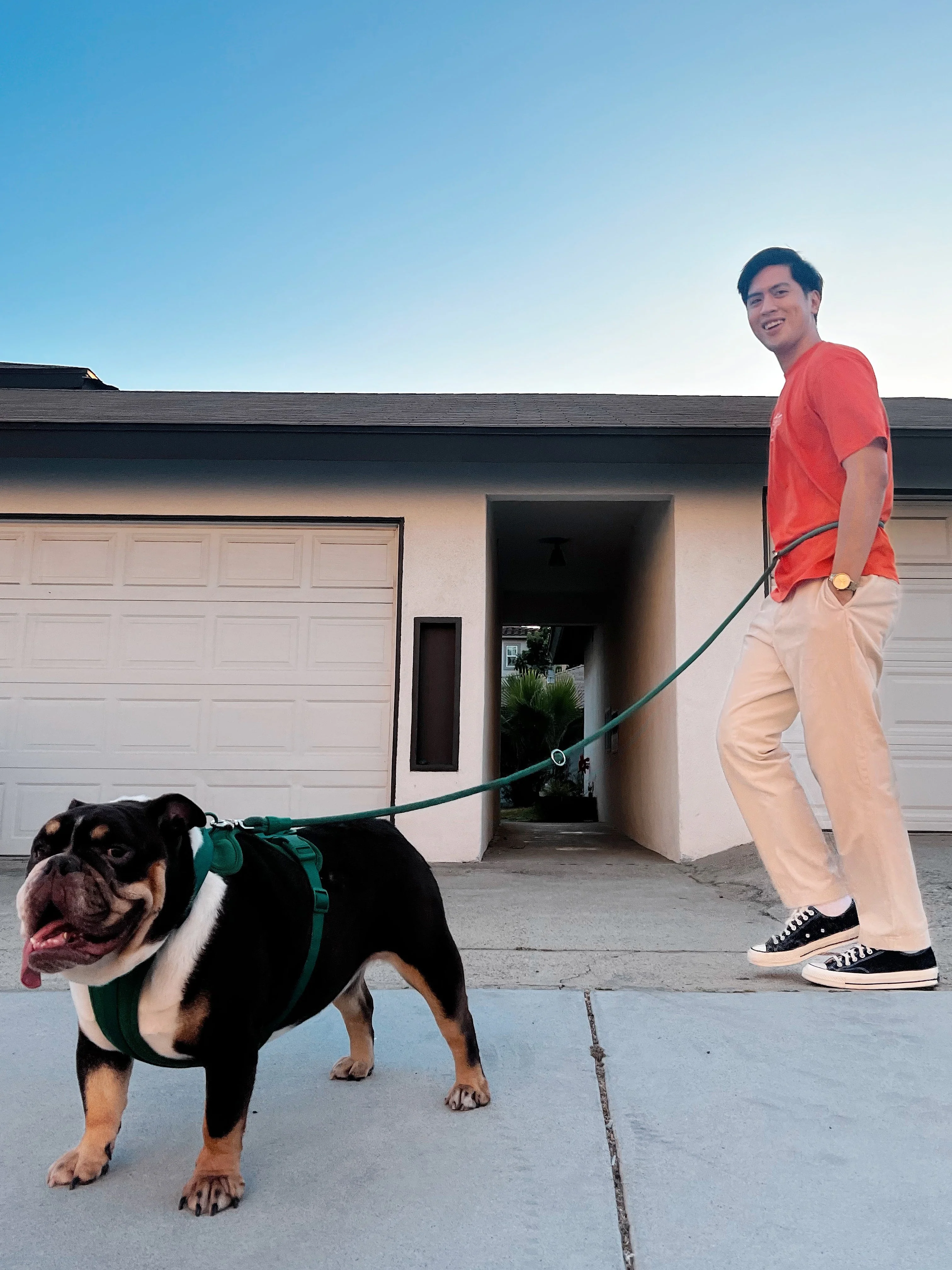 Kismet Dog Leash - Image 17