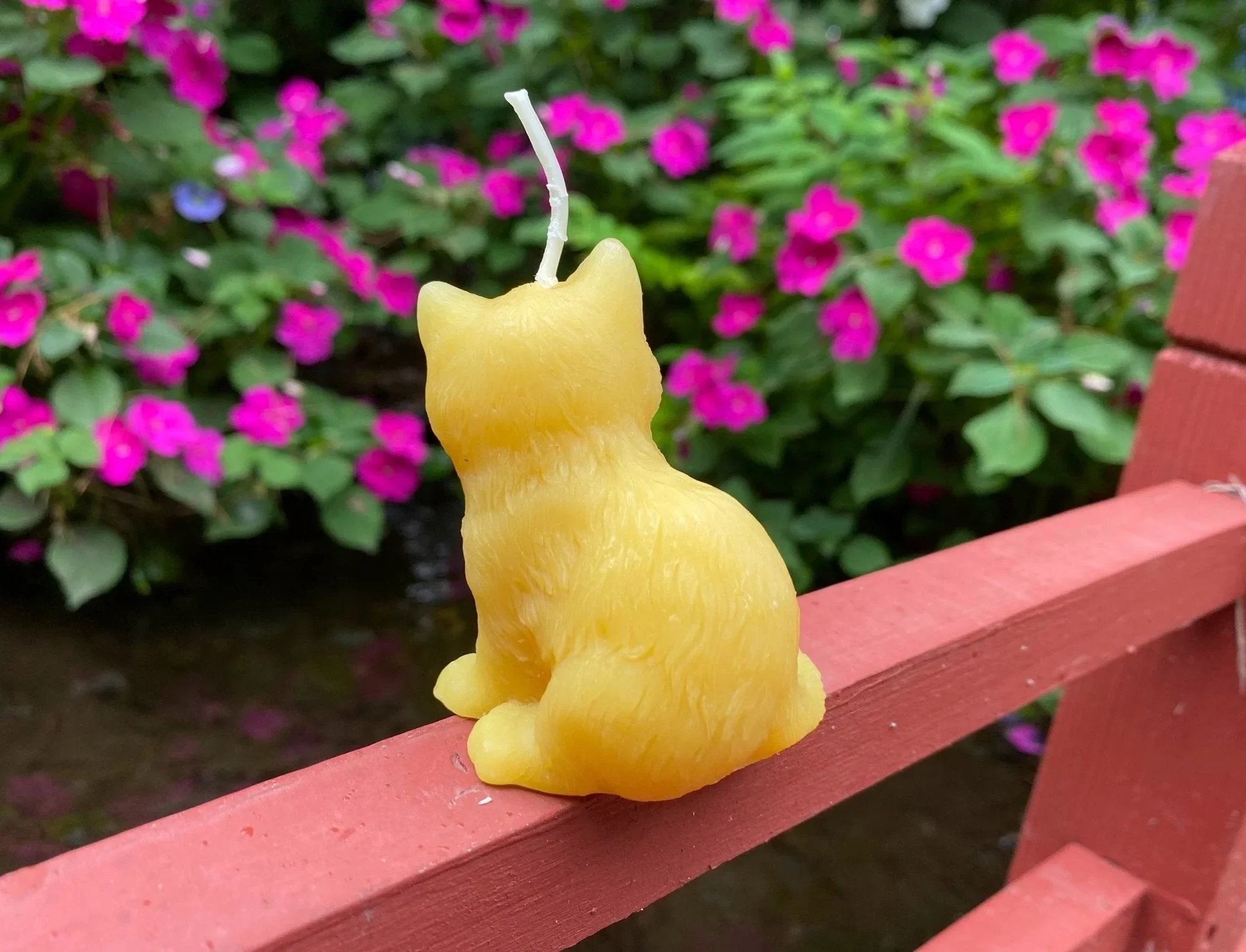 Kitten Beeswax Candle - Image 2