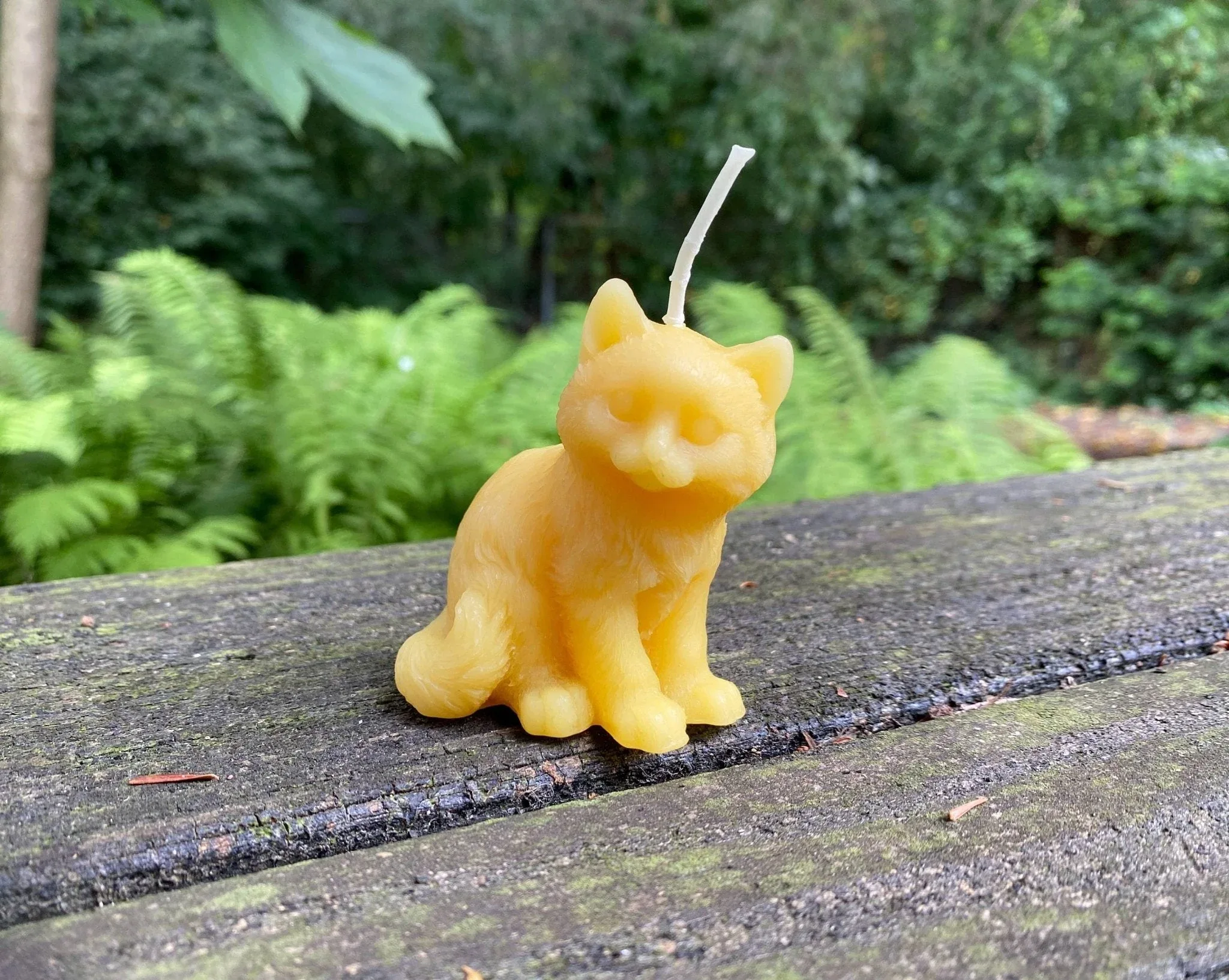 Kitten Beeswax Candle - Image 3