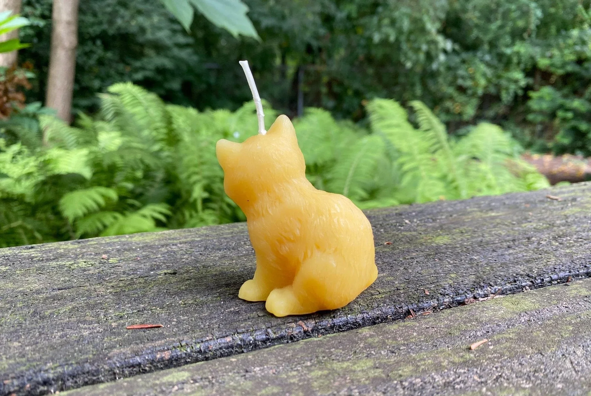 Kitten Beeswax Candle - Image 4