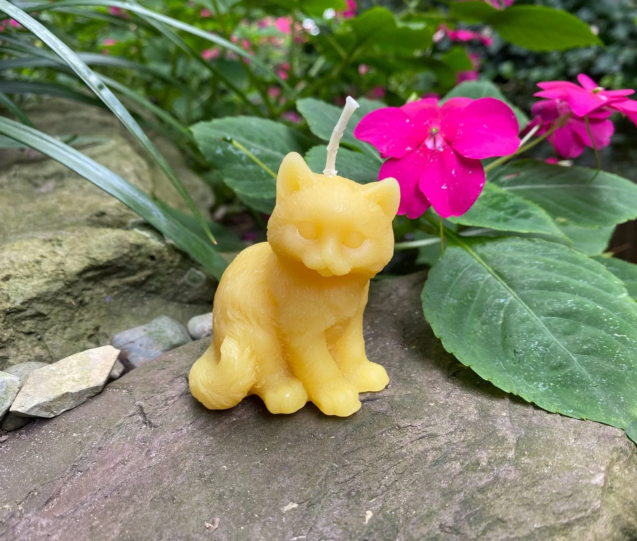 Kitten Beeswax Candle - Image 5
