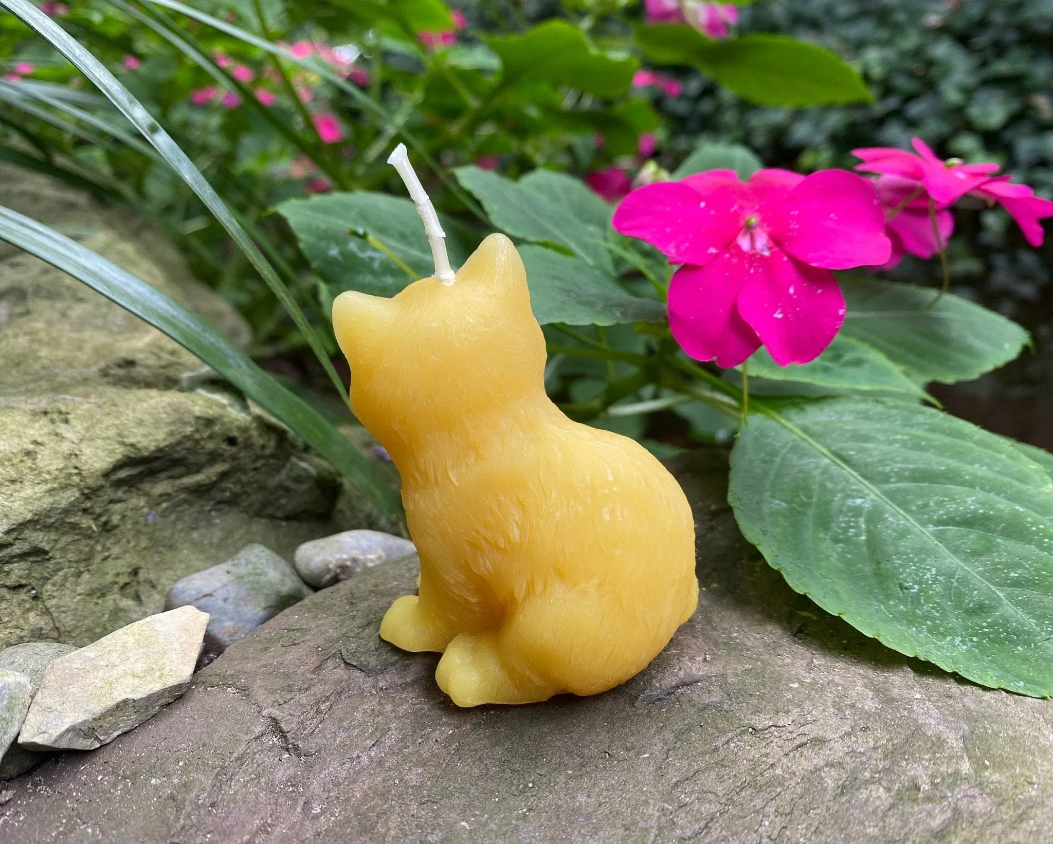 Kitten Beeswax Candle - Image 6