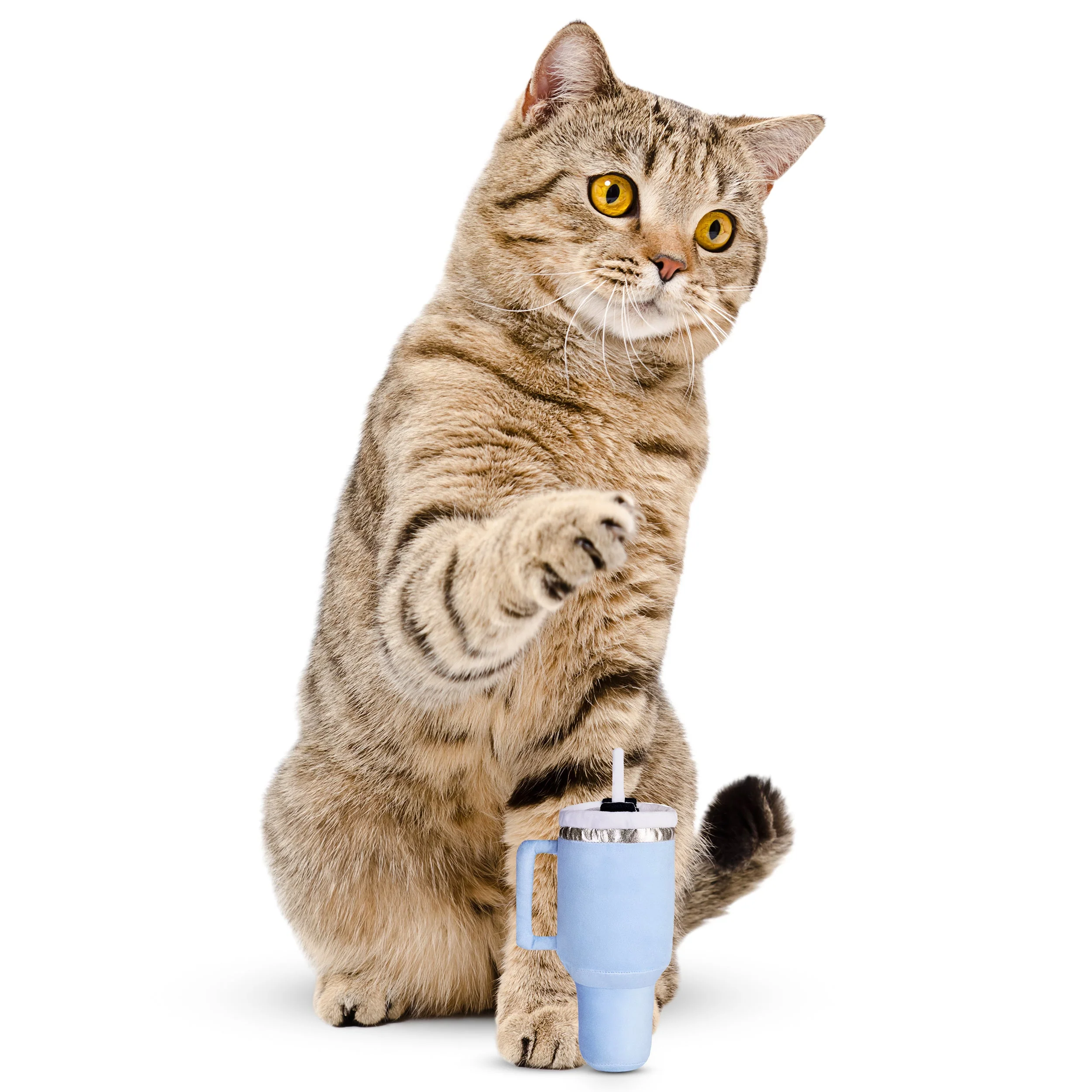 Kitty Cup Cat Tumbler Toy with Catnip & Crinkle Paper- Ideal Cat Birthday Gift - Image 12