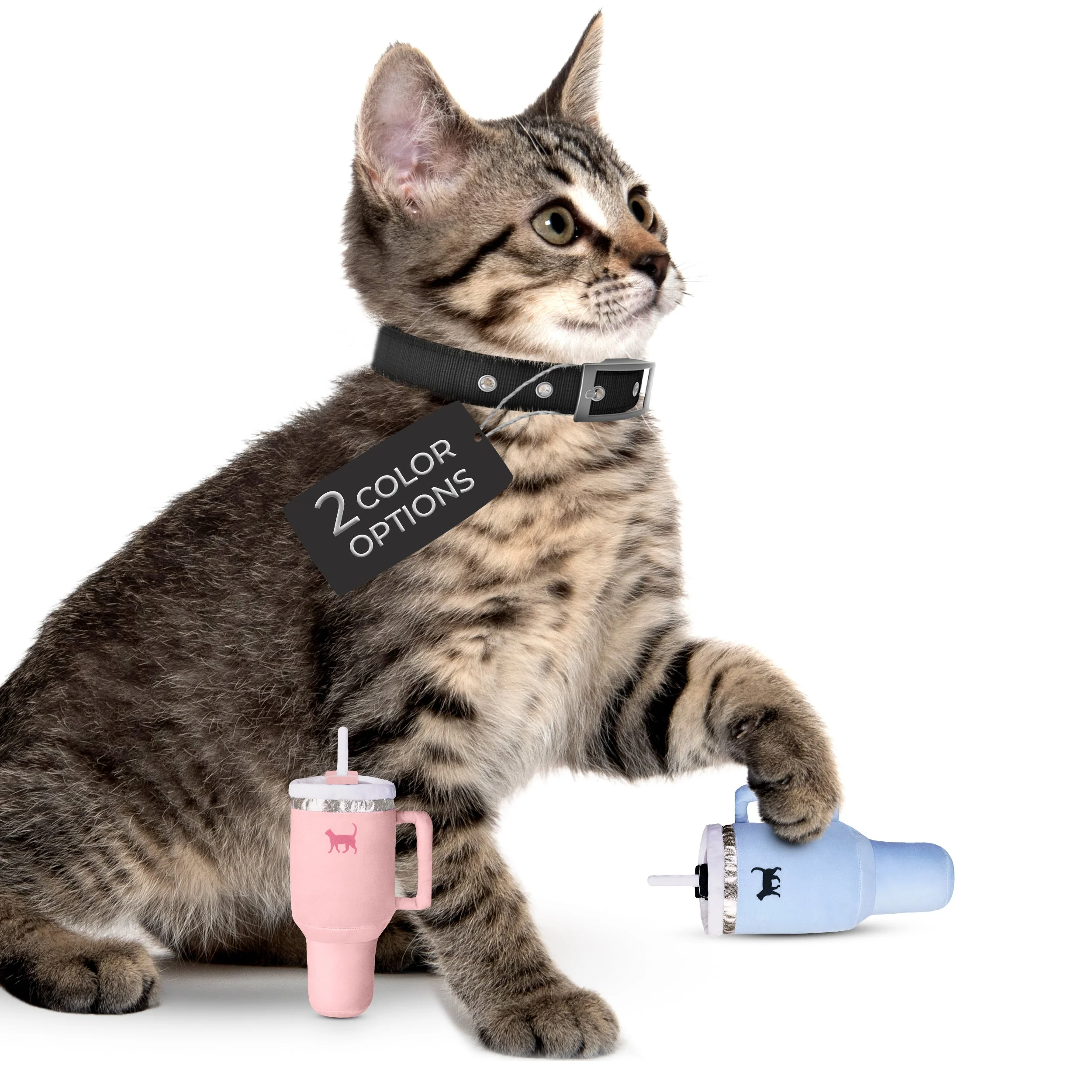 Kitty Cup Cat Tumbler Toy with Catnip & Crinkle Paper- Ideal Cat Birthday Gift - Image 9