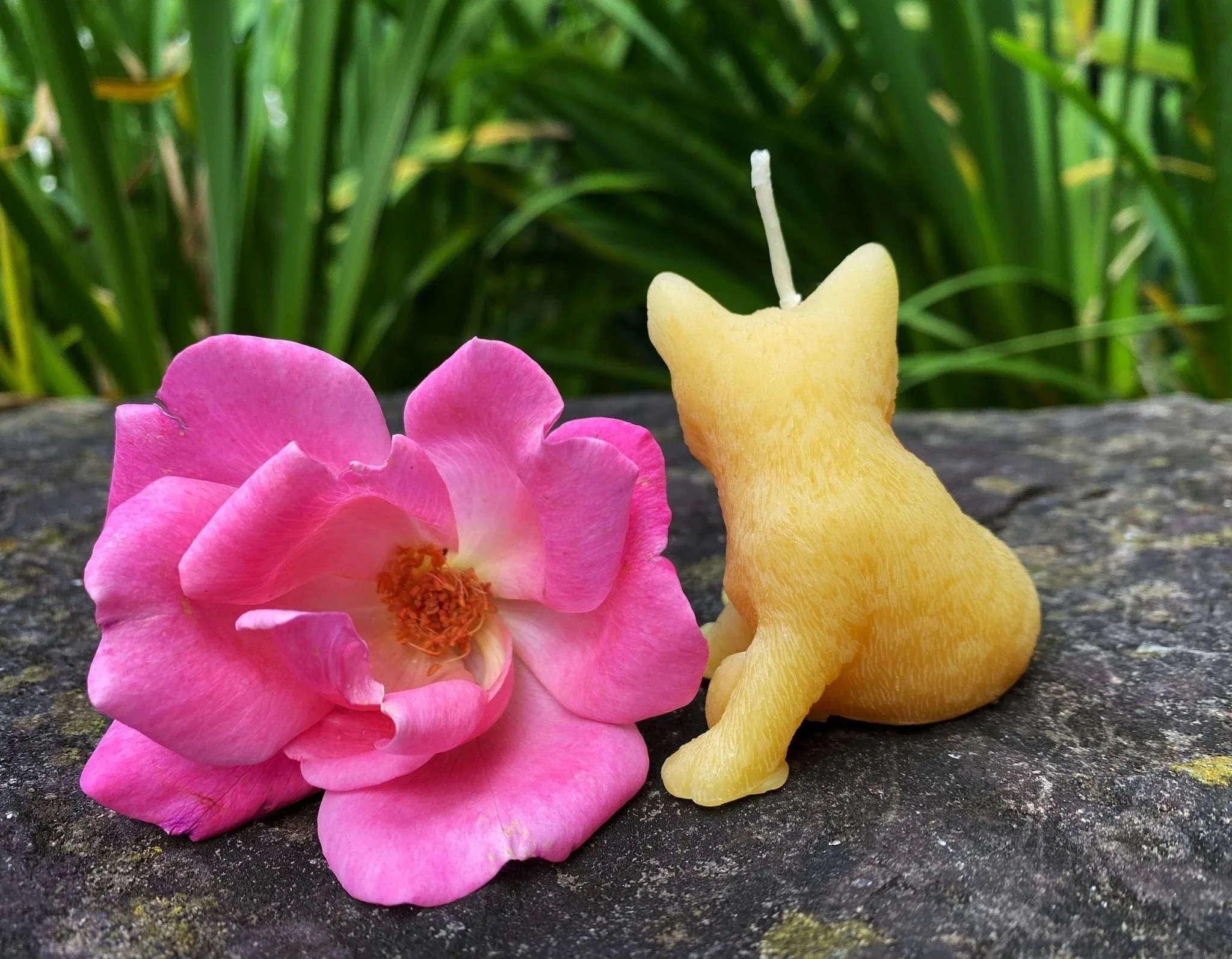 Kitty & Rose Beeswax Candle - Image 2