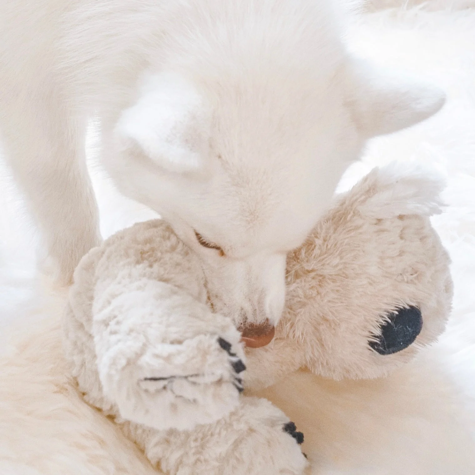 Koko Maxi Plushie - Image 4